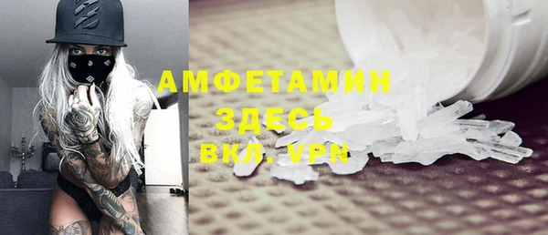 ECSTASY Бородино