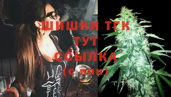 ECSTASY Бородино