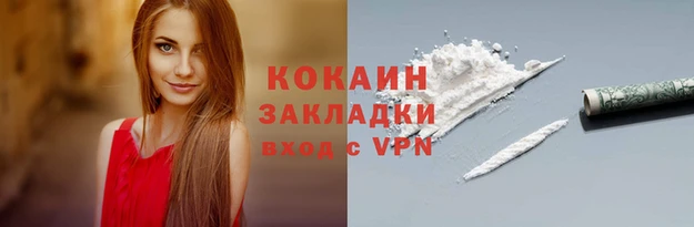 твердый Бронницы