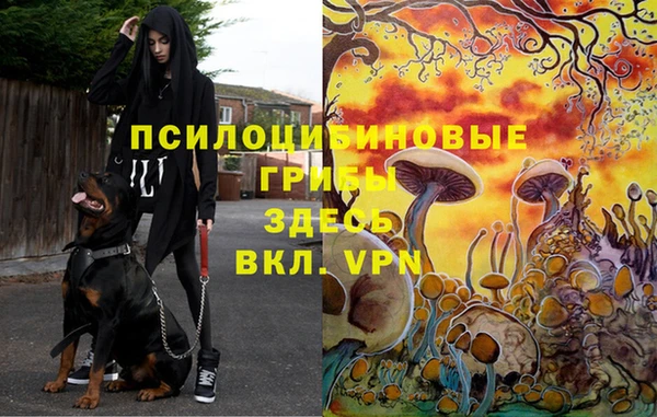 каннабис Бугульма