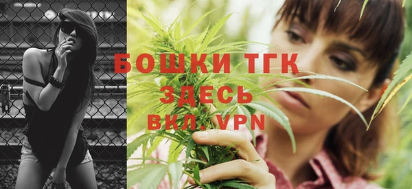 ECSTASY Бородино