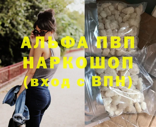 ECSTASY Бородино