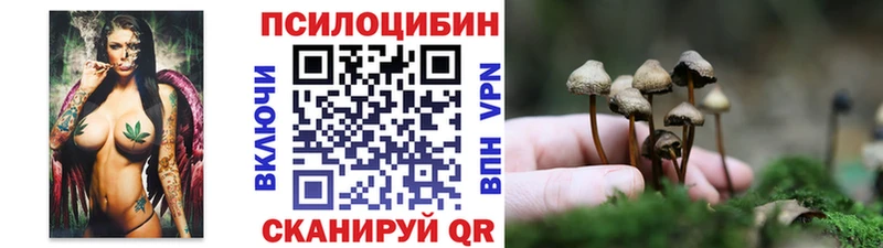 Галлюциногенные грибы прущие грибы  Петрозаводск 